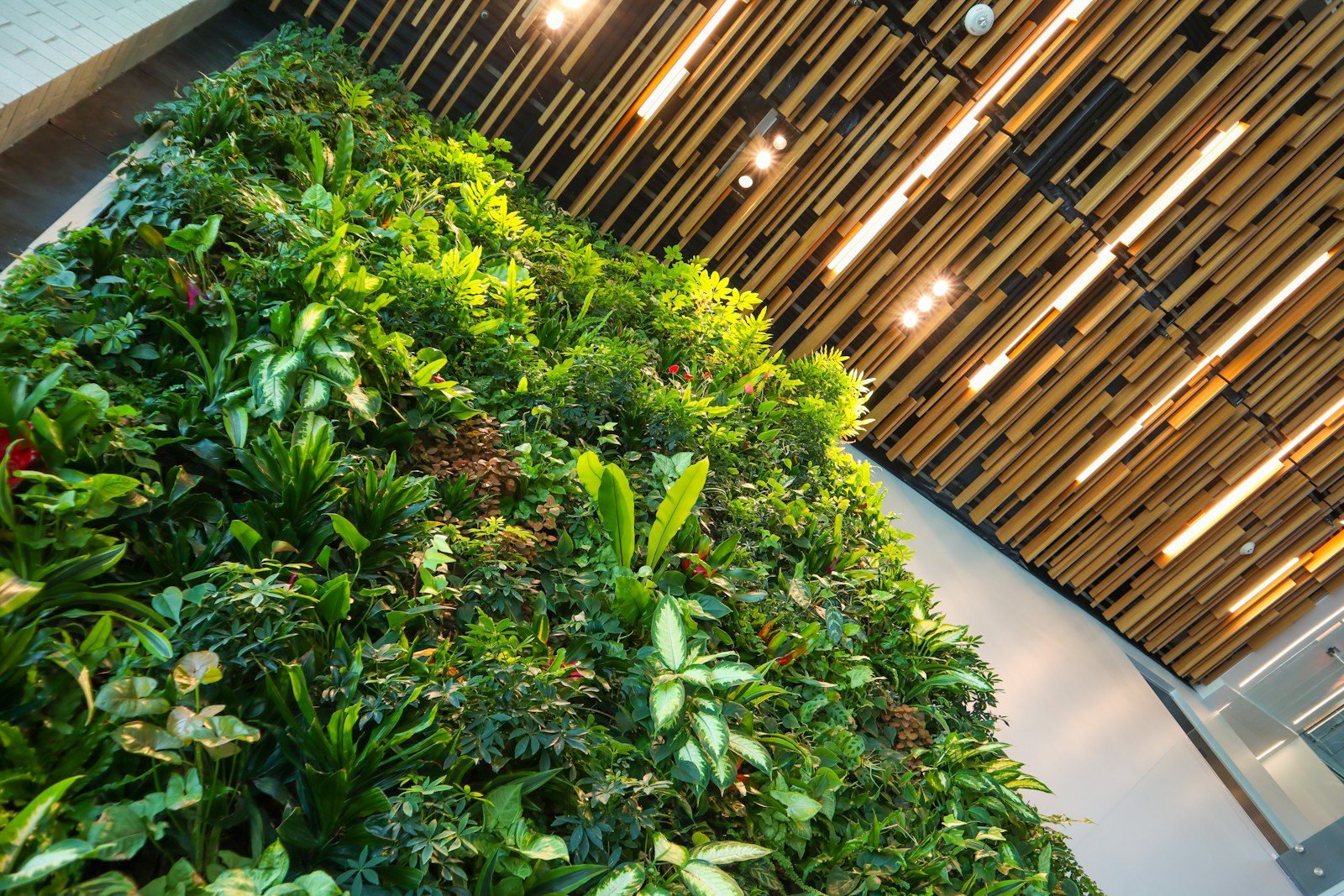 Jardim vertical: como montar, plantas certas e cuidados