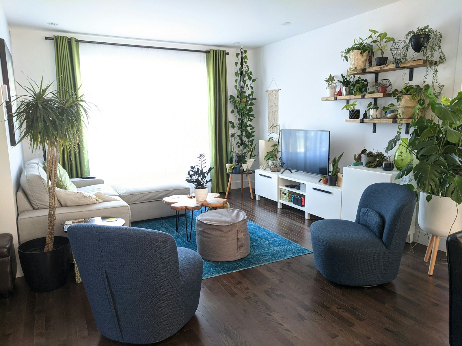 Plantas para apartamento: opciones para cada luz y cada rutina